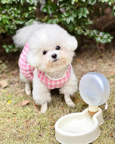 Candy Colors Portable Pet Travel Water Bottle2