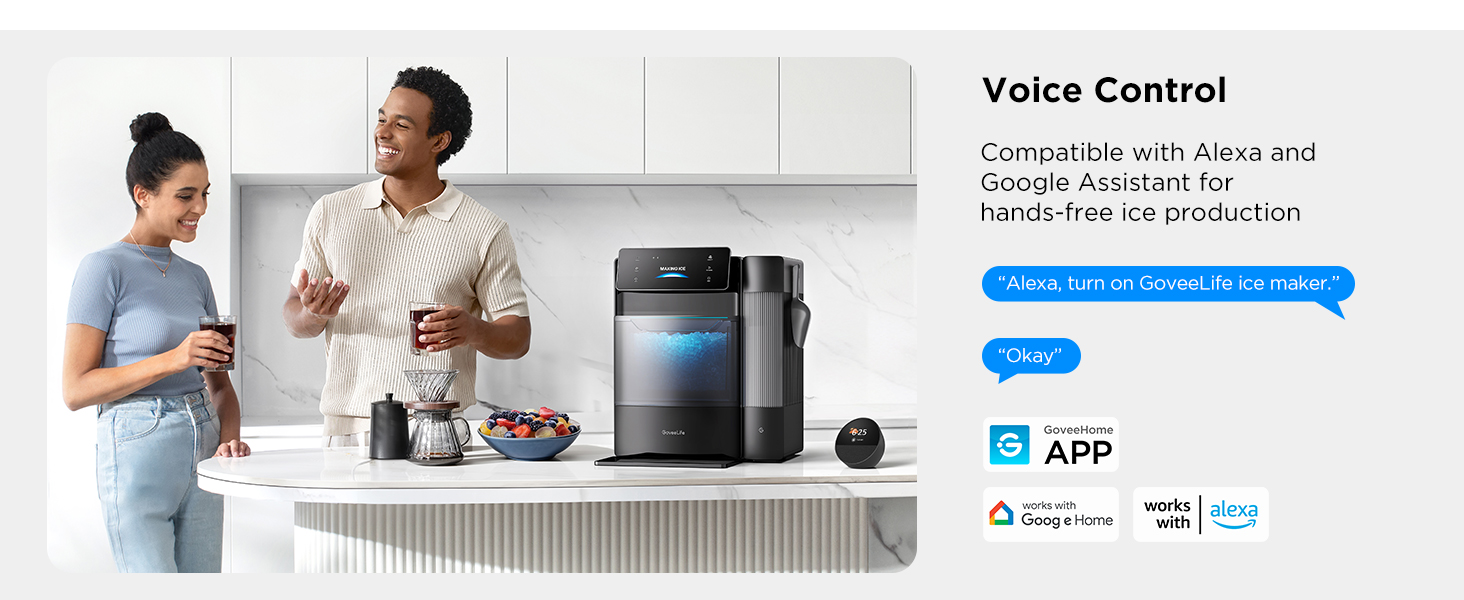 voice control