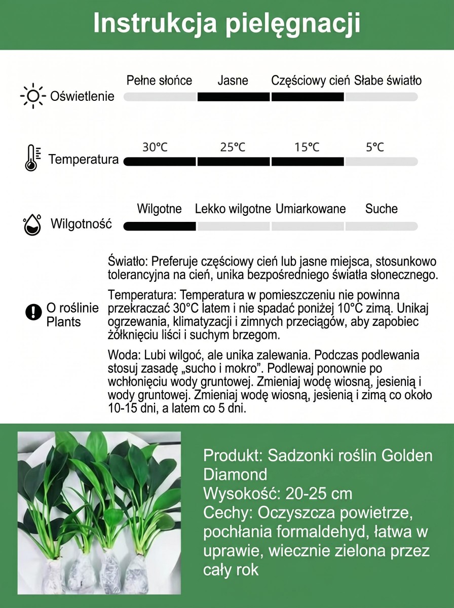 Kup zamiokulkasa – bez słońca, wystarczy woda. Zakwita w nocy, wypełnia dom zapachem luksusowych perfum. Jedna doniczka na lata. 🌿