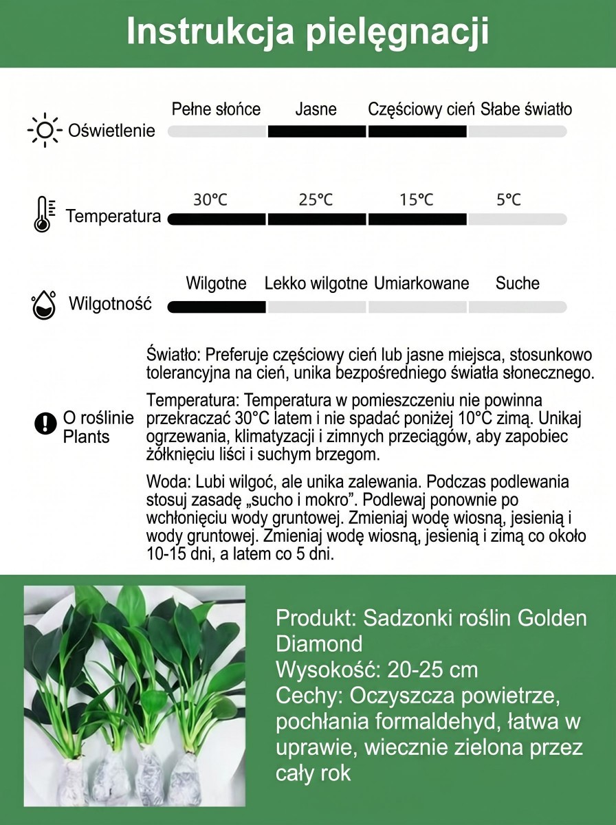 Kup zamiokulkasa – bez słońca, wystarczy woda. Zakwita w nocy, wypełnia dom zapachem luksusowych perfum. Jedna doniczka na lata. 🌿