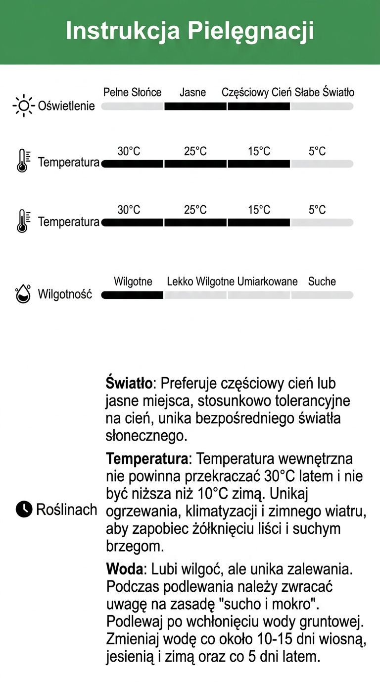 Grafika 13 - Instrukcja pielęgnacji.jpg
