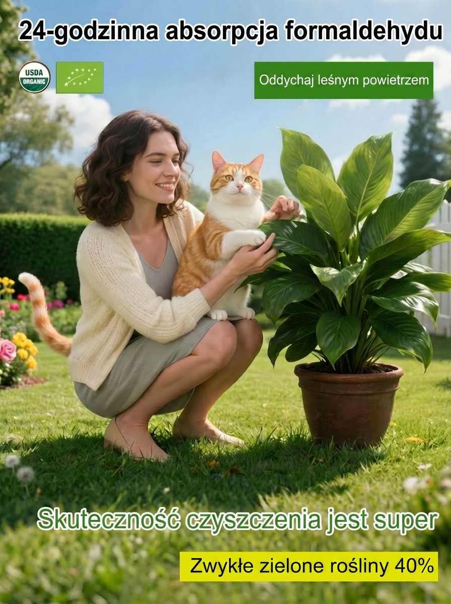 Kup zamiokulkasa – bez słońca, wystarczy woda. Zakwita w nocy, wypełnia dom zapachem luksusowych perfum. Jedna doniczka na lata. 🌿