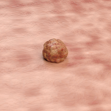 DM_20260721150051_008.gif