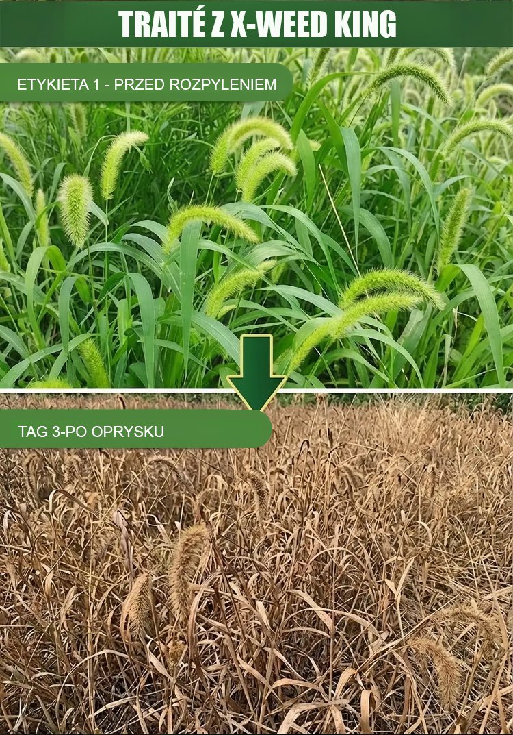 翻译件-SL-除草烂根剂-1349739-系统-(1)_12.jpg