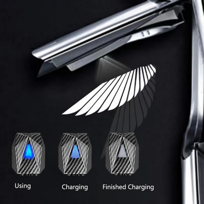 Dynamic Car Door Projector