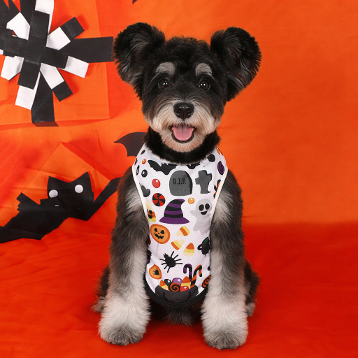 Heeipaw Halloween Pumpkin Dog Costume Vest – Cute Printed Pet Shirt, Sleeveless Dog Clothes for Small Dogs