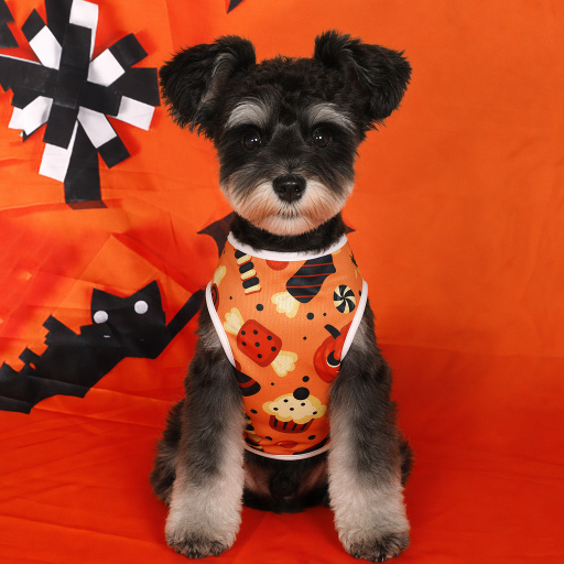 Heeipaw Halloween Pumpkin Dog Costume Vest – Cute Printed Pet Shirt, Sleeveless Dog Clothes for Small Dogs