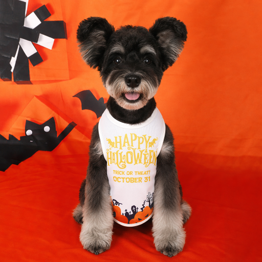 Heeipaw Halloween Pumpkin Dog Costume Vest – Cute Printed Pet Shirt, Sleeveless Dog Clothes for Small Dogs