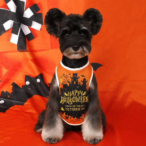 Heeipaw Halloween Pumpkin Dog Costume Vest – Cute Printed Pet Shirt, Sleeveless Dog Clothes for Small Dogs