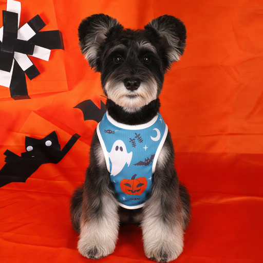 Heeipaw Halloween Pumpkin Dog Costume Vest – Cute Printed Pet Shirt, Sleeveless Dog Clothes for Small Dogs
