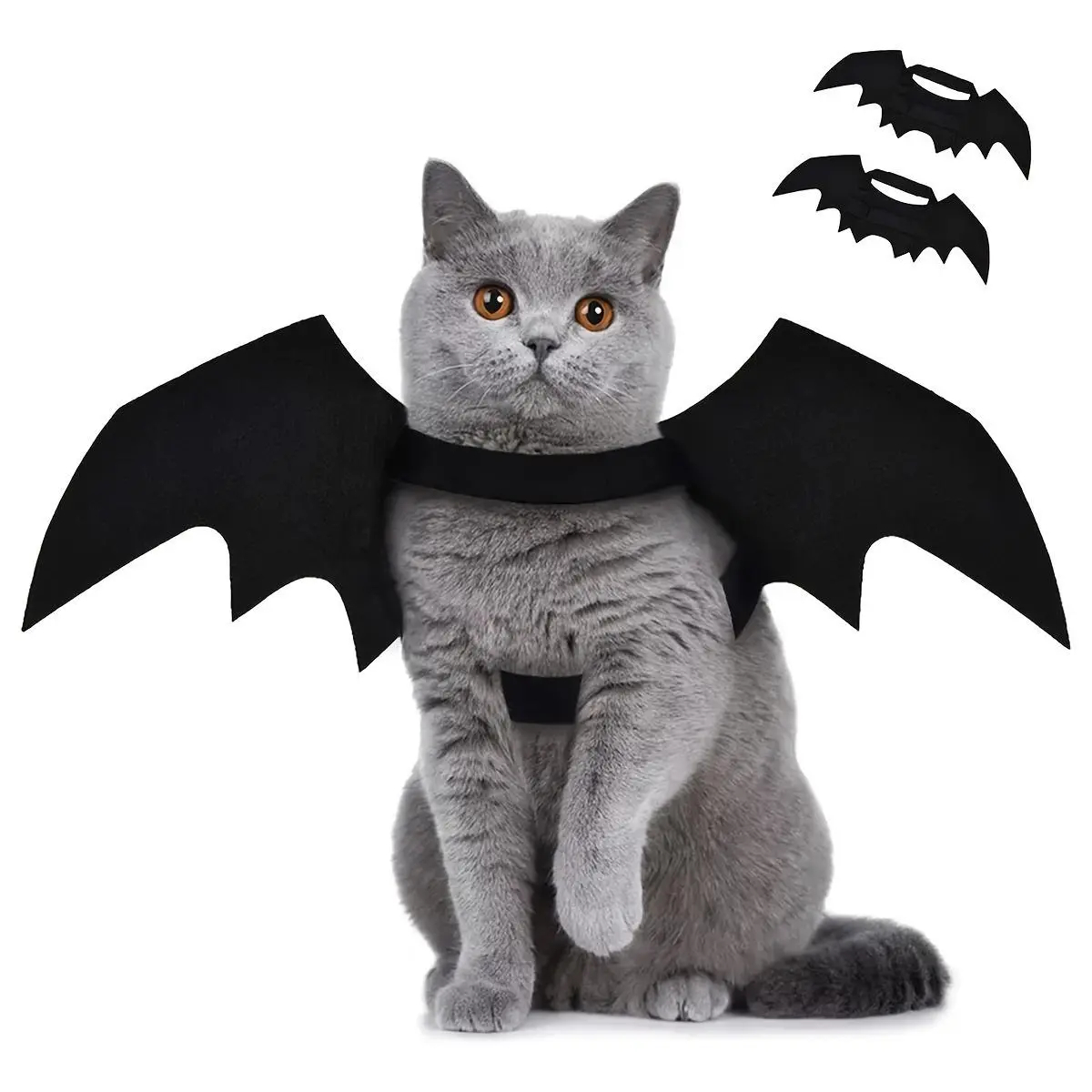 Heeipaw Bat Wing Cat Harness, Black Polyester Halloween Pet Leash Harness for Cats, Walking, Outdoor & Costume Partiesv
