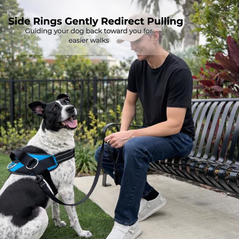 Heeipaw No-Pull Dog Harness & Leash Set – Breathable Reflective Adjustable Walking Vest - image 4