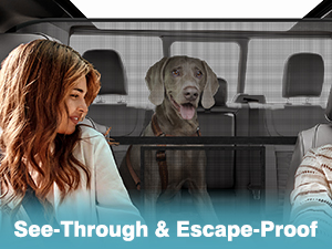 Dog Car Barrier