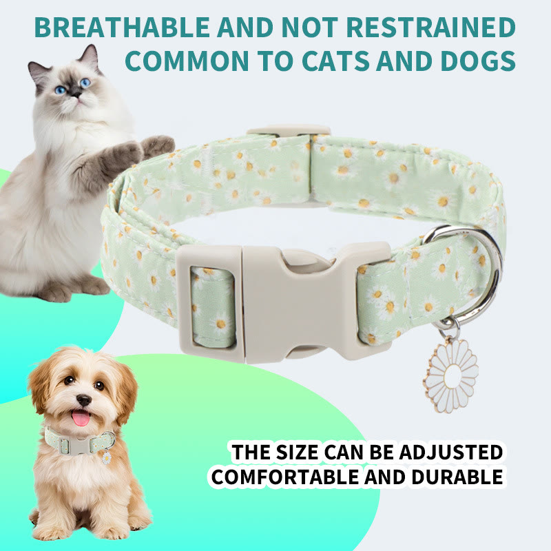 Heeipaw Stylish Dog Collar, Durable Adjustable Pet Collar for Small, Medium & Large Dogs - daisy - L - image 6