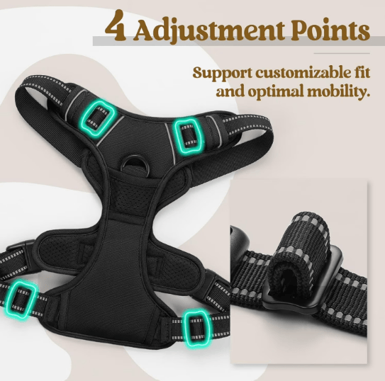 Heeipaw Adjustable H-shaped Dog Harness With Leash, No-pull Anti-choke Pet Vest, Breathable Walking Harness For Small, Medium & Large Dogs - image 4
