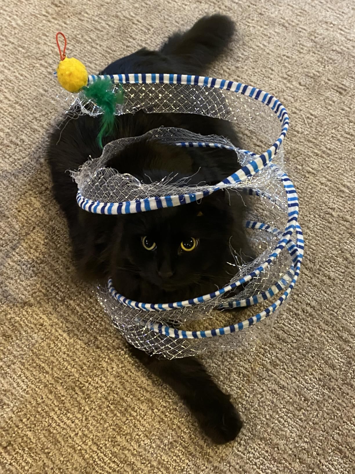 Loves it but be careful of mesh