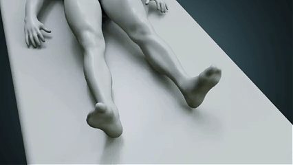 Anatomical illustration of legs