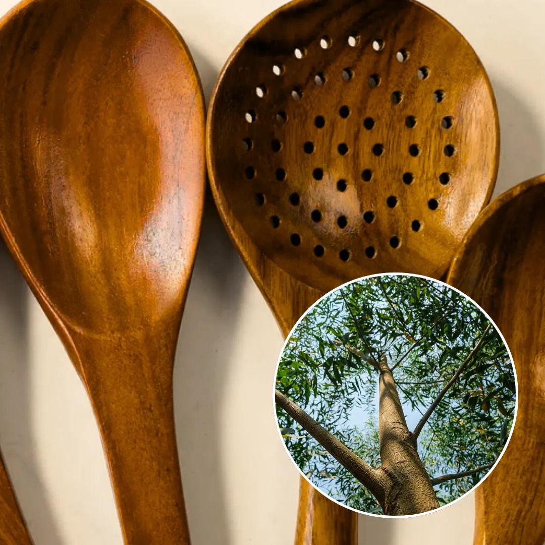 Acacia Wood Kitchen Utensils Testing and Quality