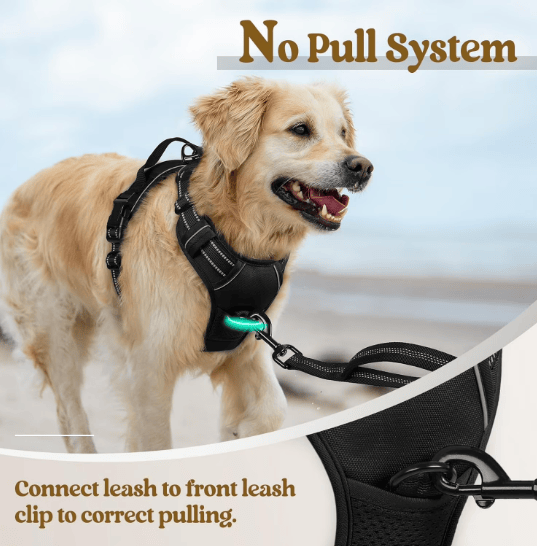 Heeipaw Adjustable H-shaped Dog Harness With Leash, No-pull Anti-choke Pet Vest, Breathable Walking Harness For Small, Medium & Large Dogs - image 1