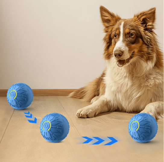 Heeipaw Interactive Cat & Dog Toy Ball, Durable Automatic Teaser Ball, Self-play Smart Pet Toy For Cats And Dogs, Boredom Relief & Iq Training - image 2