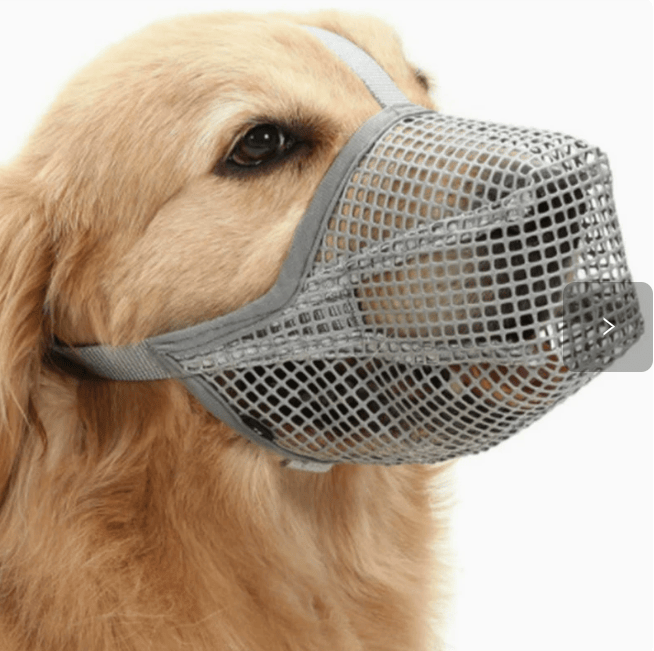 Heeipaw Adjustable Dog Muzzle, Breathable Anti-biting Dog Mouth Guard, Comfortable Pet Muzzle For Barking Control, Chewing Prevention & Safe - Light Gray - XL ：17cm×17cm×1.5cm - image 7