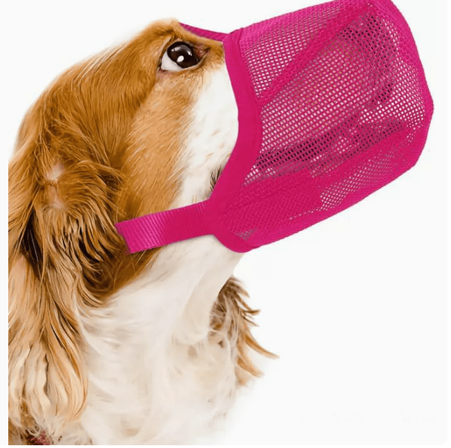 Heeipaw Adjustable Dog Muzzle, Breathable Anti-biting Dog Mouth Guard, Comfortable Pet Muzzle For Barking Control, Chewing Prevention & Safe - Rose - XL ：17cm×17cm×1.5cm - image 6