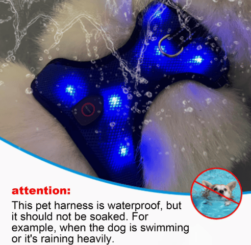 Heeipaw LED Dog Harness – Rechargeable No Pull Safety Vest for Night Walks - image 2