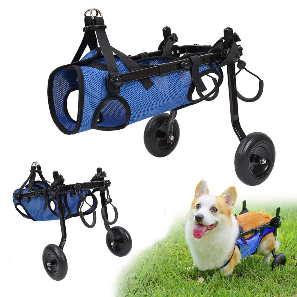 Heeipaw MoveCare Dog Wheelchair – Mobility Support Cart for Senior & Recovery Dogs - Dark Blue - M - image 1