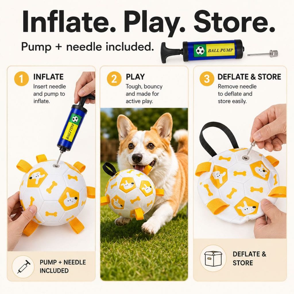 Heeipaw PlayPaw Interactive Dog Football Toy – Durable Fetch & Training Ball for Dogs - image 4