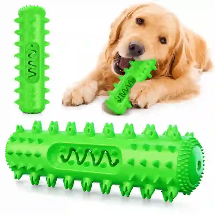 Heeipaw Dental Dog Chew Toy – Interactive Squeaky Toothbrush Stick For Teeth Cleaning, Chewing & Healthy Play - image 2
