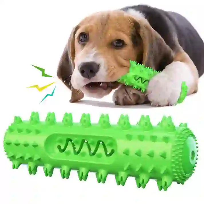 Heeipaw Dental Dog Chew Toy – Interactive Squeaky Toothbrush Stick For Teeth Cleaning, Chewing & Healthy Play - Green - image 1