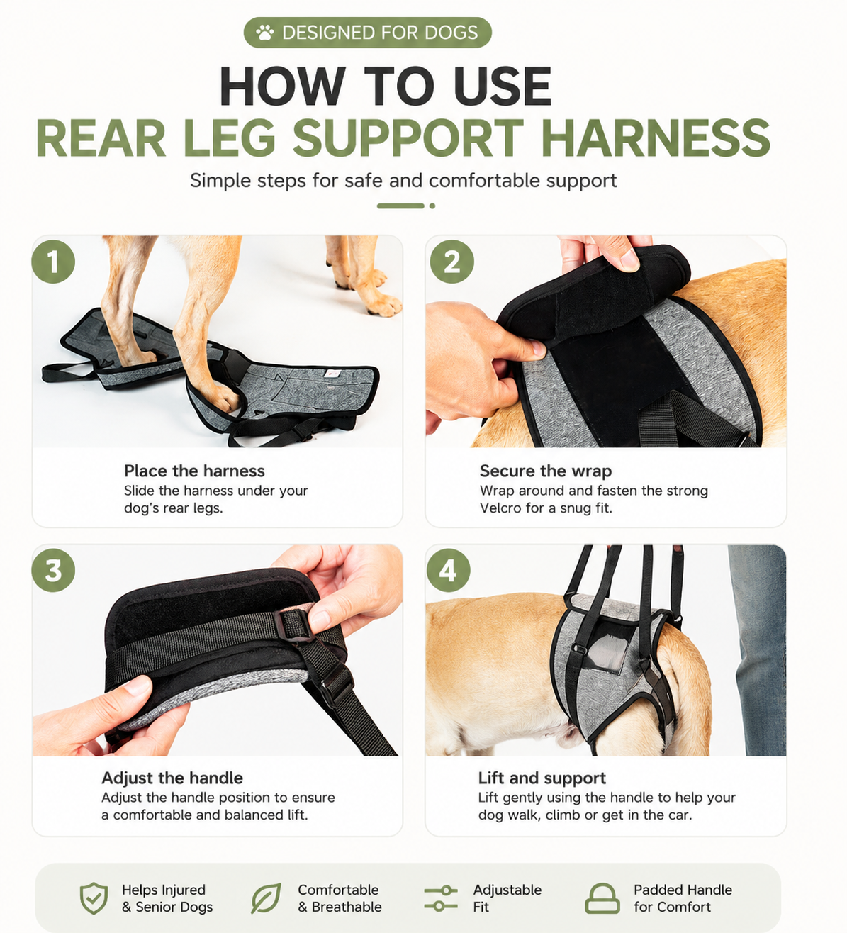 Heeipaw Dog Lift Harness for Rear Legs – Supportive Mobility Aid for Senior Dogs & Injured Pets - image 4