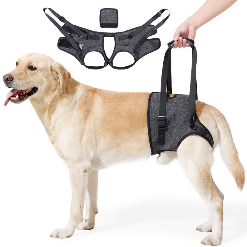 Heeipaw Dog Lift Harness for Rear Legs – Supportive Mobility Aid for Senior Dogs & Injured Pets - Grey - XL - image 1
