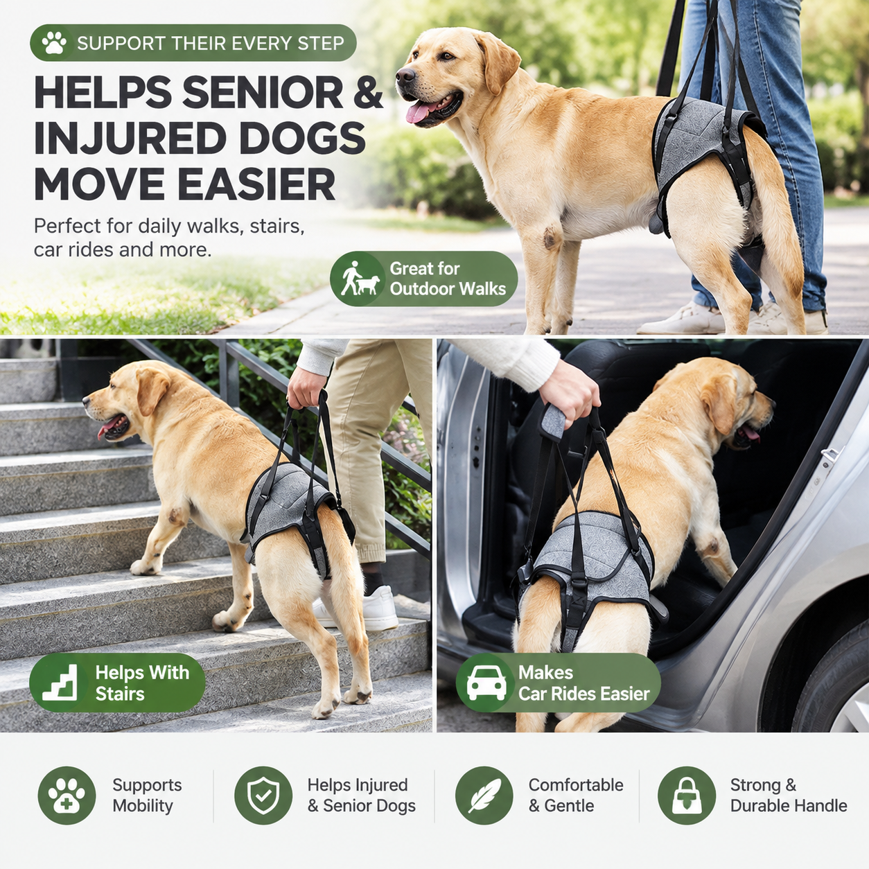 Heeipaw Dog Lift Harness for Rear Legs – Supportive Mobility Aid for Senior Dogs & Injured Pets - image 6