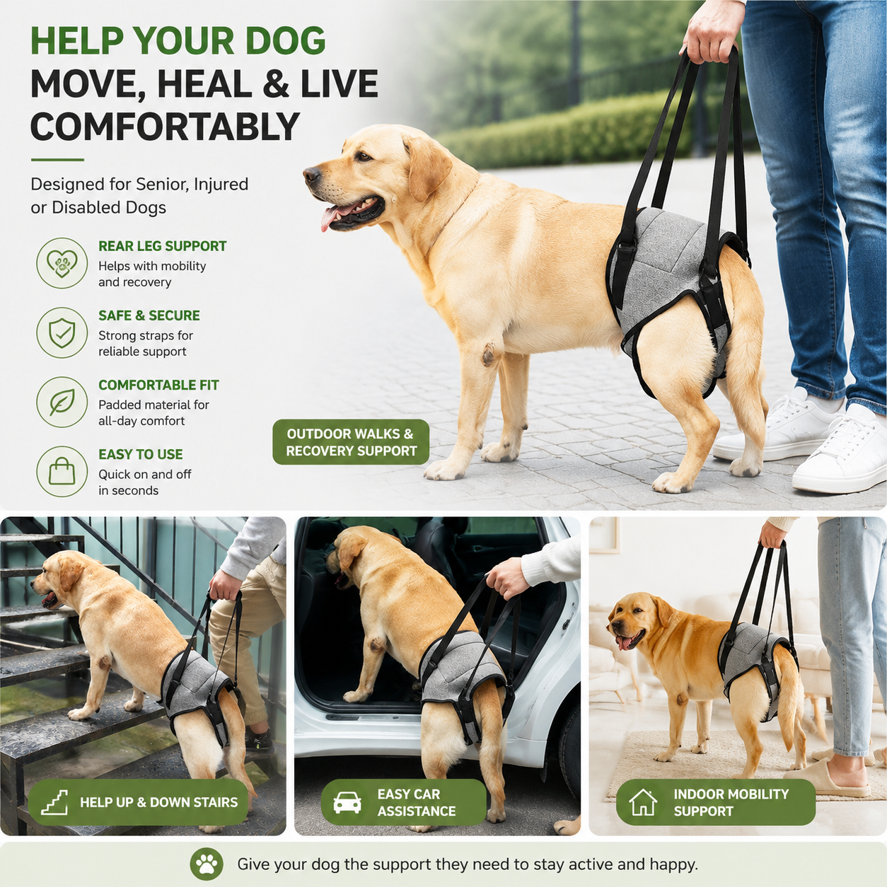 Heeipaw Dog Lift Harness for Rear Legs – Supportive Mobility Aid for Senior Dogs & Injured Pets - image 5