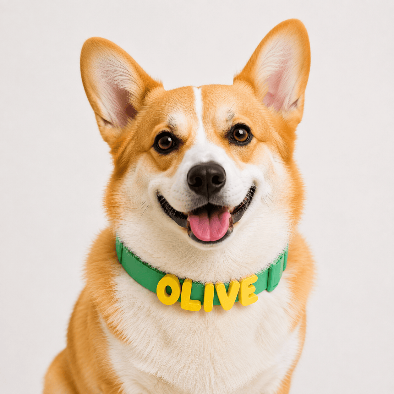 Heeipaw Personalized Silicone Letter Charms for Dog Collars, Custom Pet Name Tags & Leash Accessories - Green - Large Collar + Letter Charm - image 2