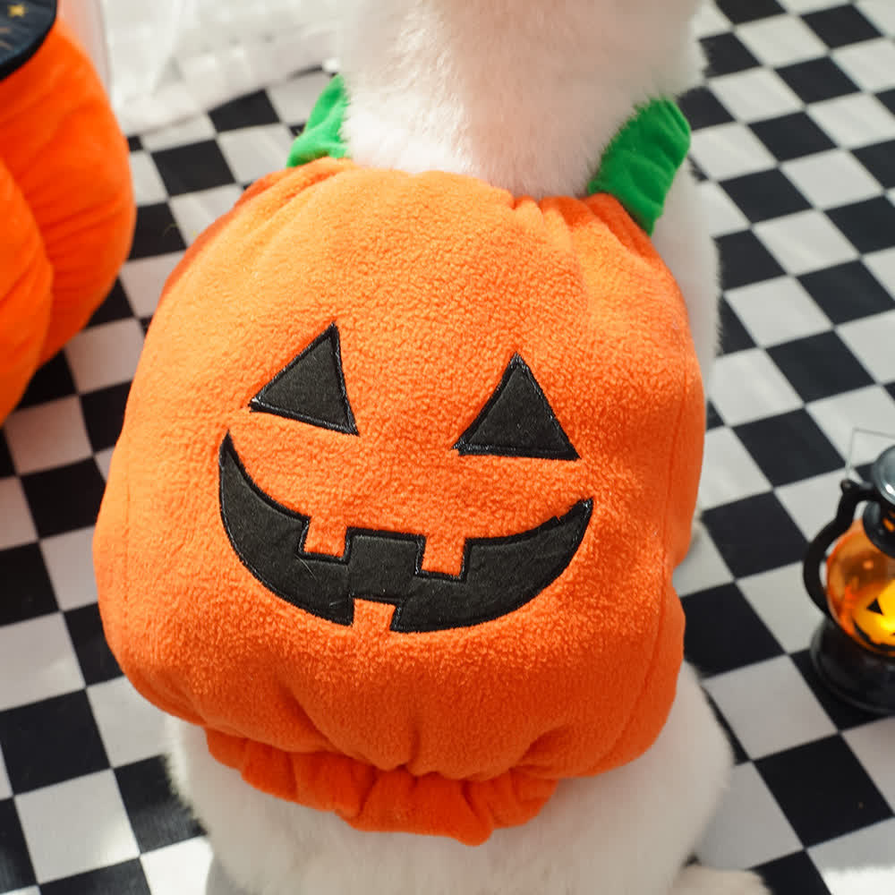 Heeipaw Pumpkin Dog Clothes – Cute Halloween & Christmas Pet Outfit for Small Dogs, Cats, Puppies & Parties  - pumpkin - L - image 3
