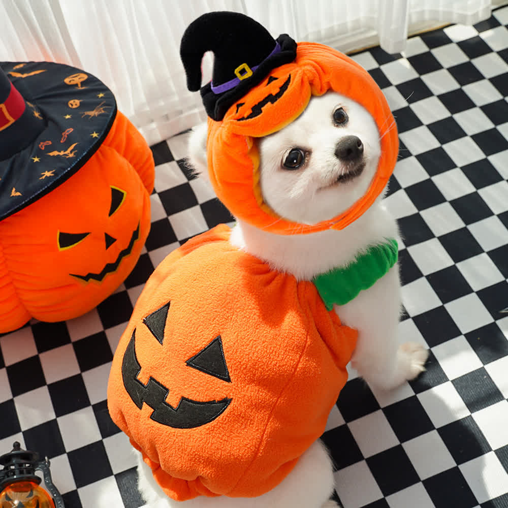 Heeipaw Pumpkin Dog Clothes – Cute Halloween & Christmas Pet Outfit for Small Dogs, Cats, Puppies & Parties  - image 6