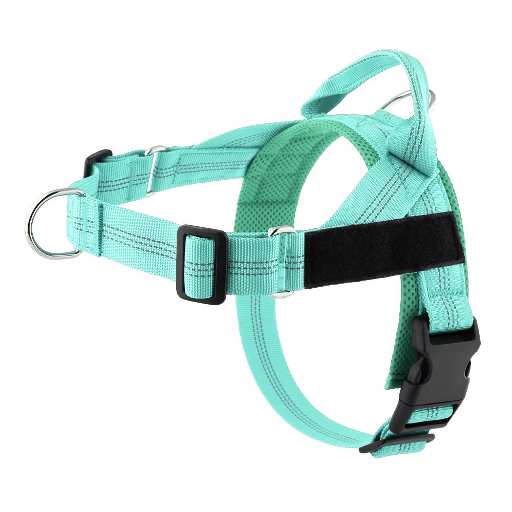 Heeipaw No-Pull Dog Harness – Adjustable Vest Harness for Medium & Large Dogs, Comfortable Walking & Outdoor Control - Light Green - XL - image 9