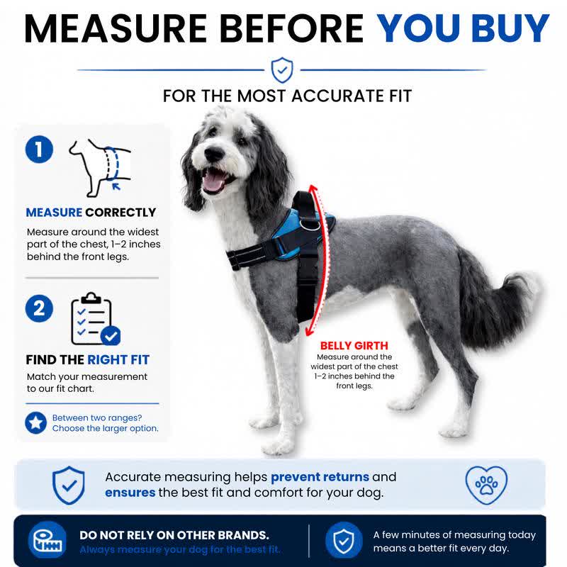 Heeipaw No-Pull Dog Harness & Leash Set – Breathable Reflective Adjustable Walking Vest - image 2