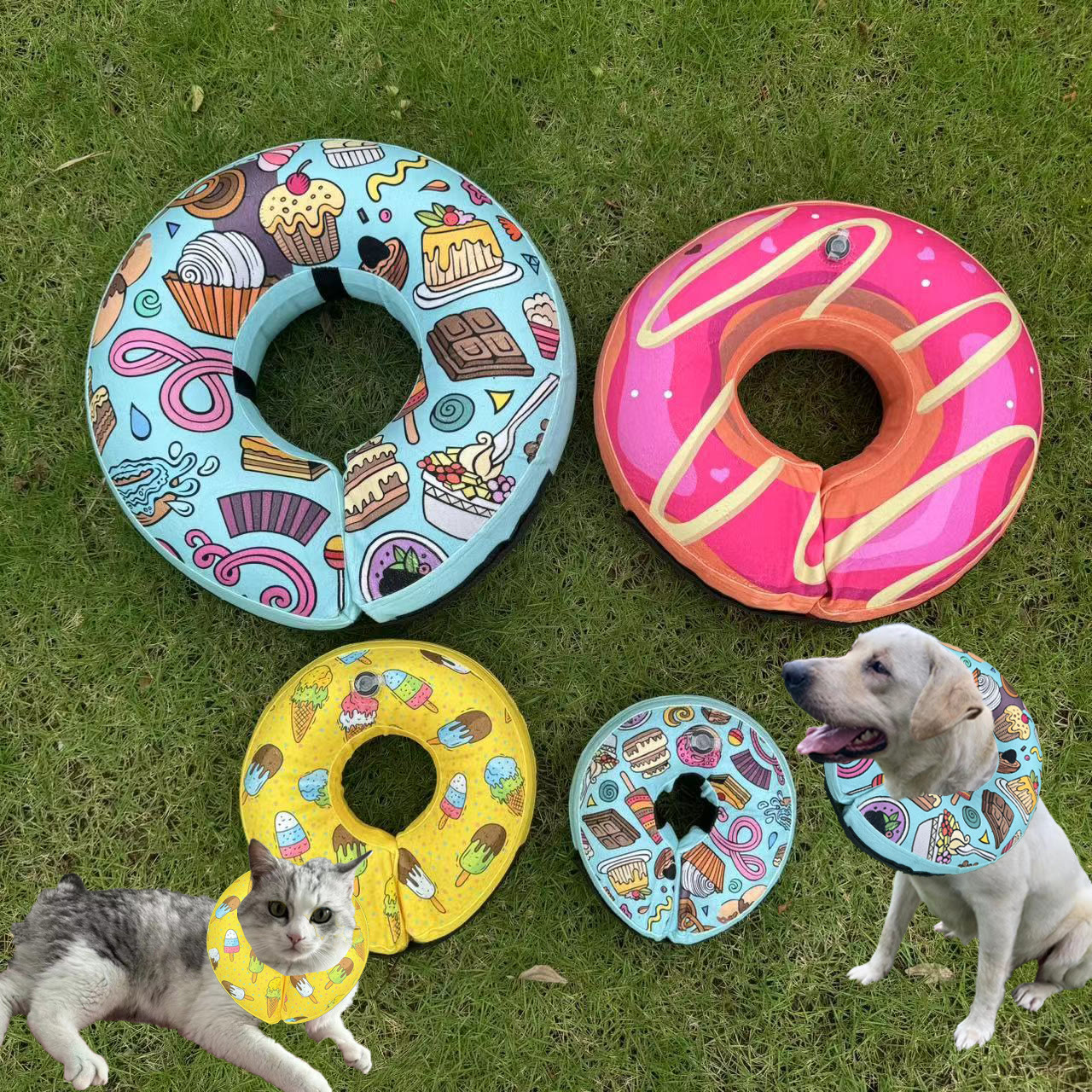 Heeipaw Waterproof Dog and Cat Collar – Colorful PVC Adjustable Collar for Swimming, Beach & Outdoor Adventures - image 13