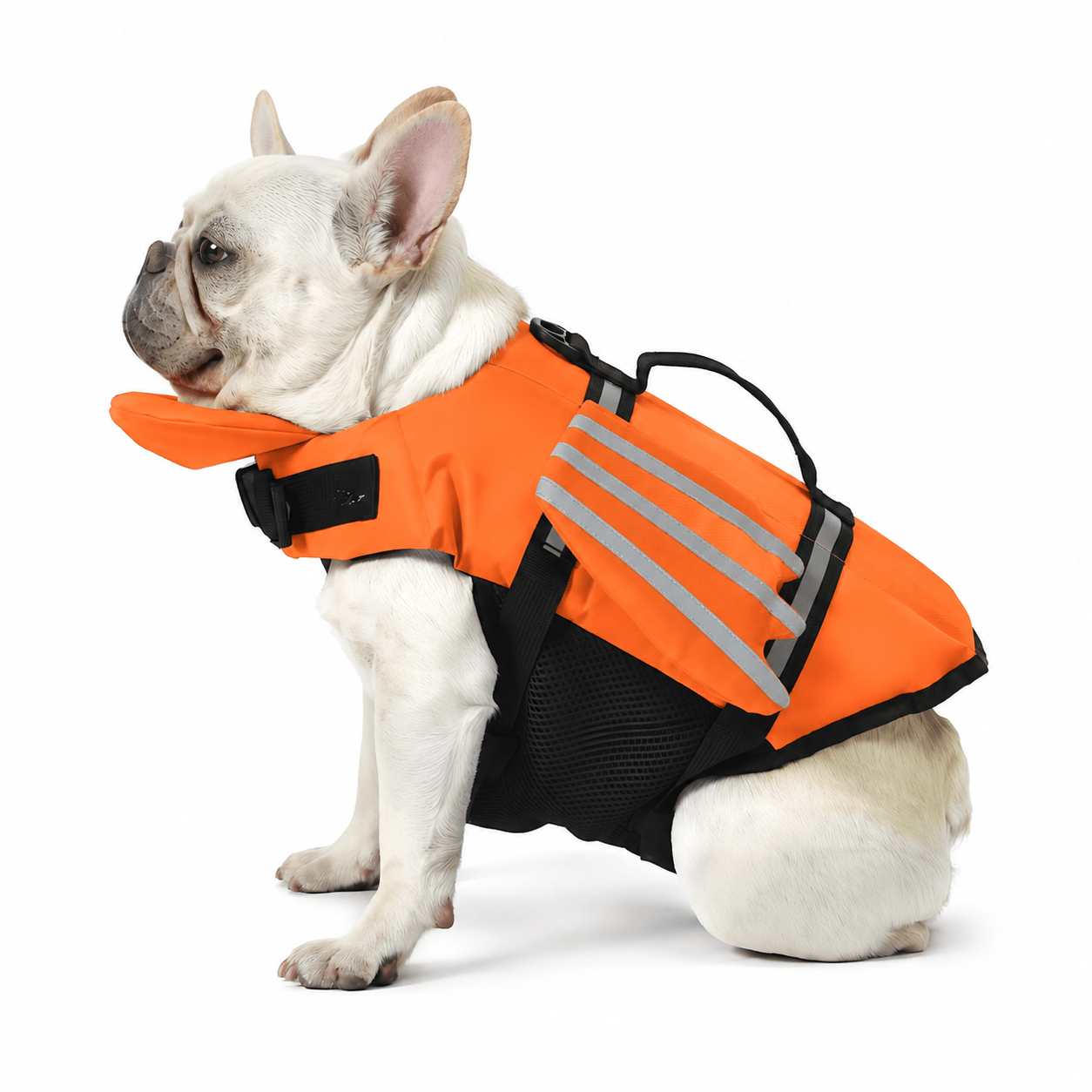 Heeipaw Reflective Dog Life Jacket with Angel Wings, Adjustable Swimming Vest for Summer Water Adventures - Orange - XL - image 8