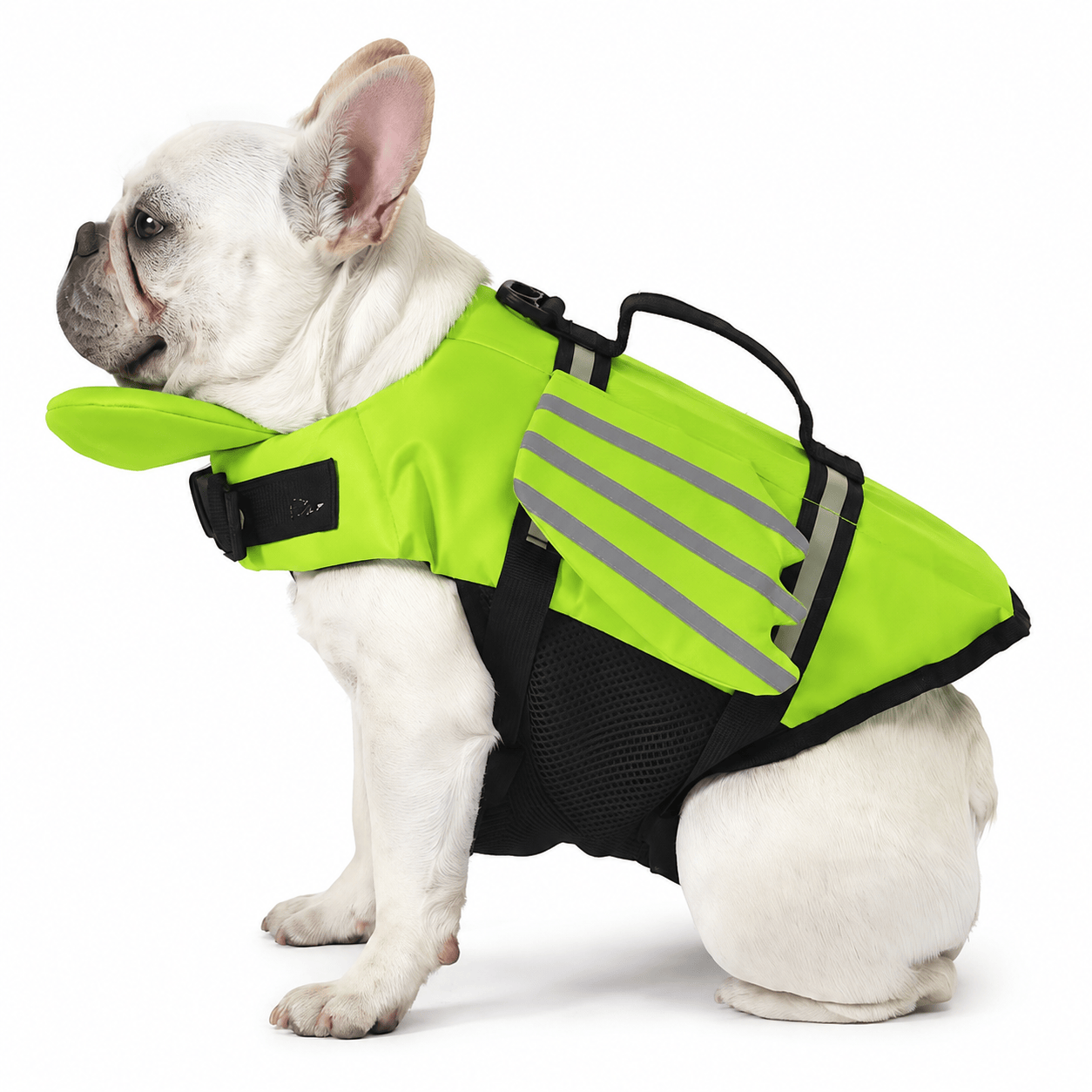 Heeipaw Reflective Dog Life Jacket with Angel Wings, Adjustable Swimming Vest for Summer Water Adventures - Green - XL - image 11