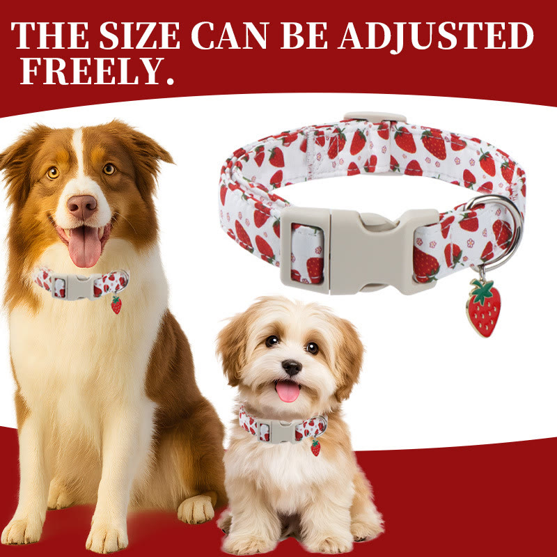 Heeipaw Stylish Dog Collar, Durable Adjustable Pet Collar for Small, Medium & Large Dogs - strawberry - L - image 3