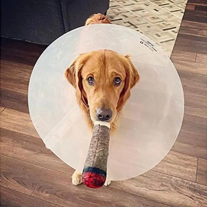 Heeipaw Funny Cigar Plush Dog Toy, Squeaky Interactive Chew Toy for Dogs, Soft Stuffed Puppy Toy for Playtime & Training - image 1