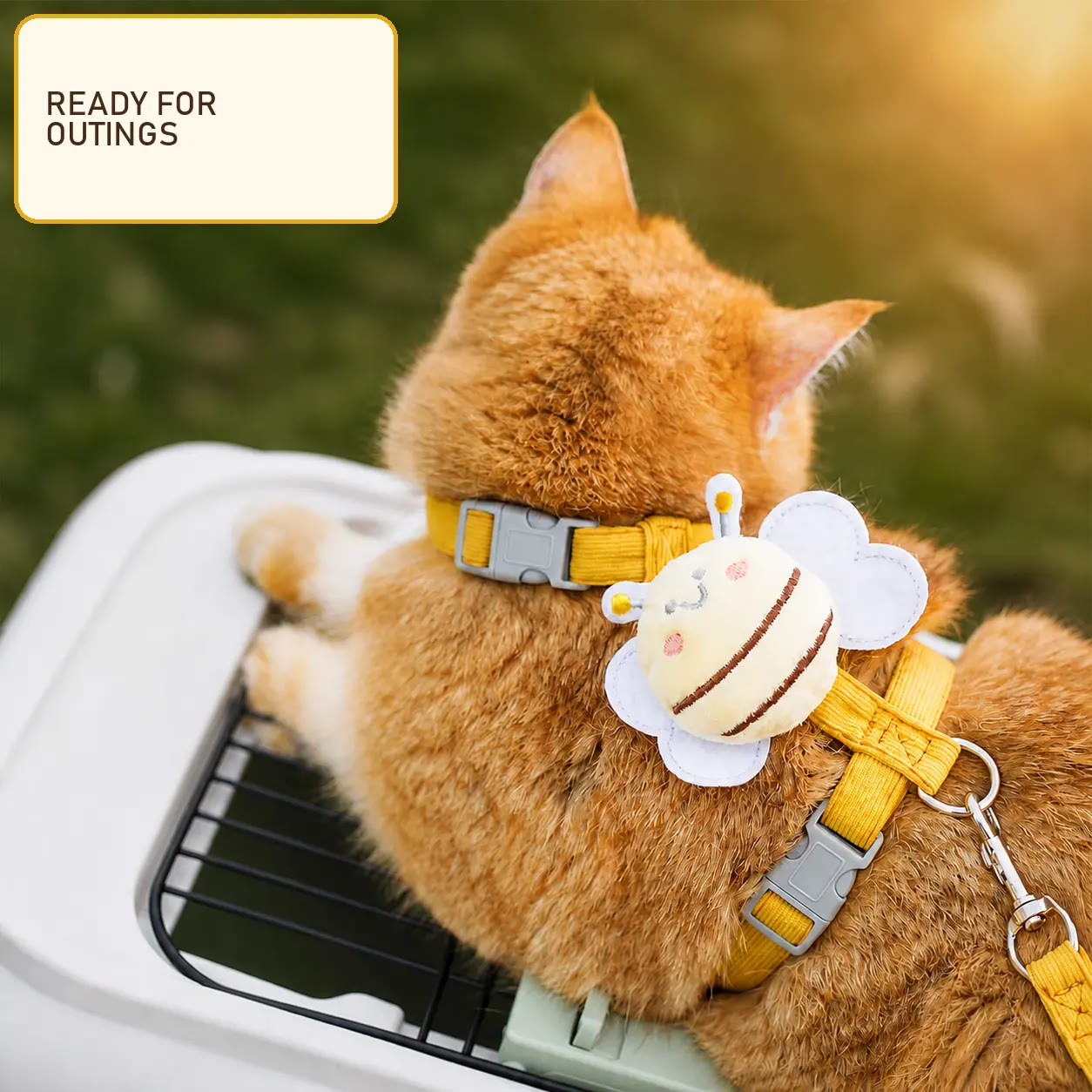 Heeipaw Cute Bee Cat Harness and Leash Set, Breathable Vest Harness for Kittens & Small Dogs, Adjustable Walking Training Strap - image 1