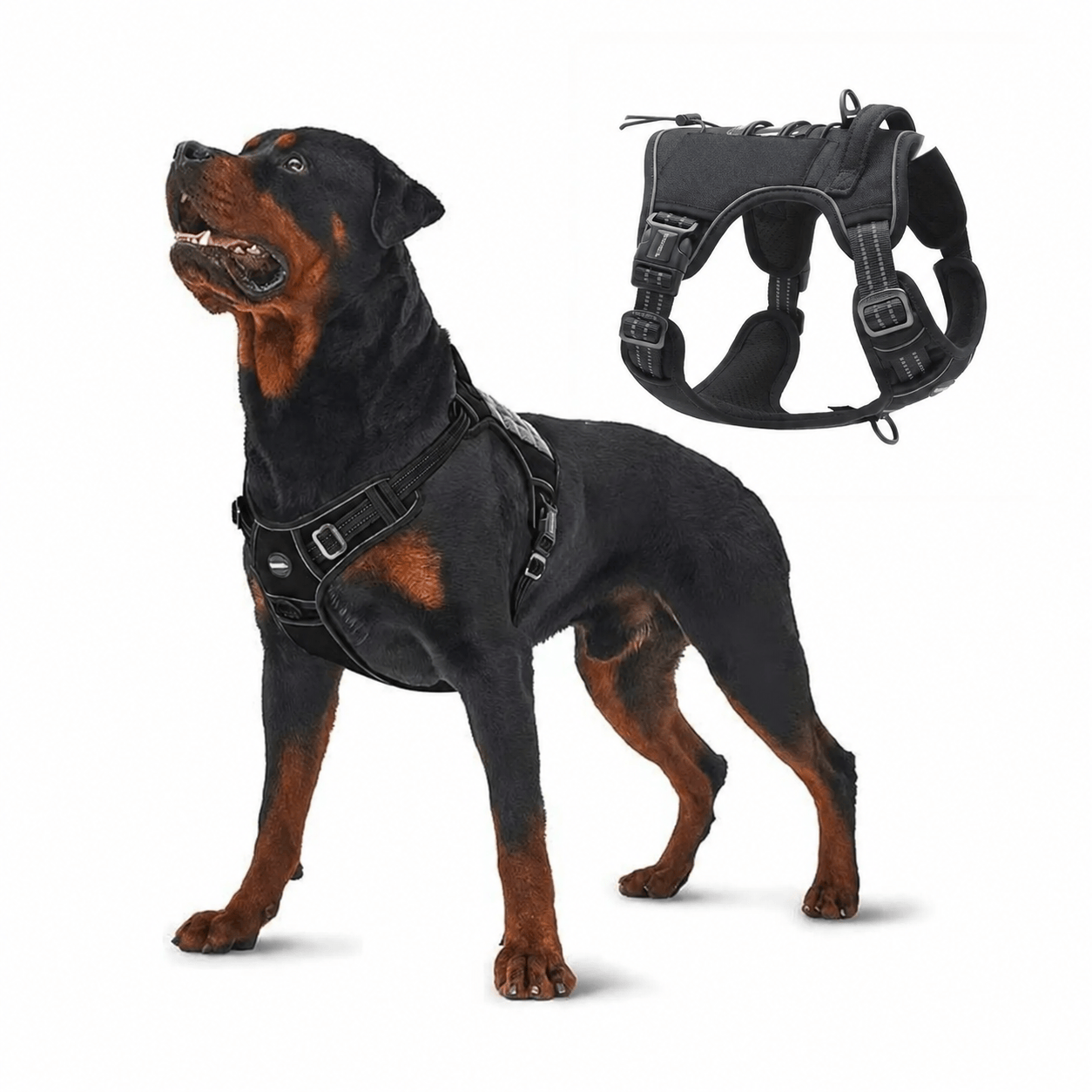 Heeipaw Universal Harness, Walking Harness & Safety Harnesses for Small to Large Dogs, Durable Reflective, Easy to Control - Black - XL - image 1