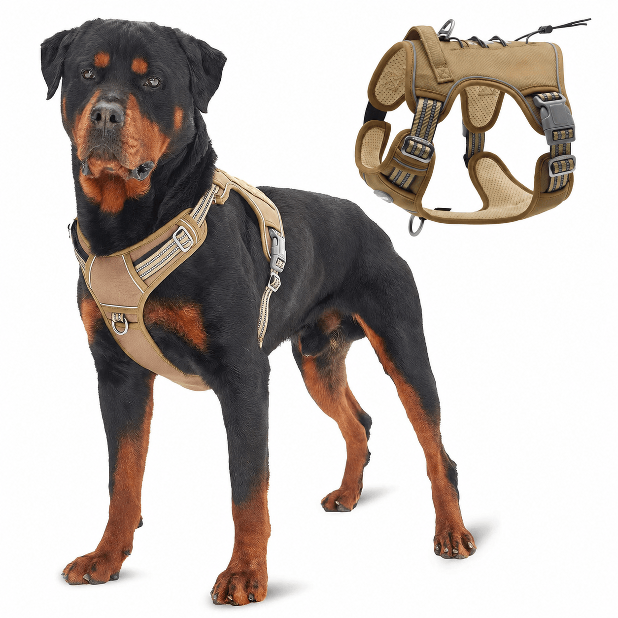 Heeipaw Universal Harness, Walking Harness & Safety Harnesses for Small to Large Dogs, Durable Reflective, Easy to Control - Khaki - XL - image 2