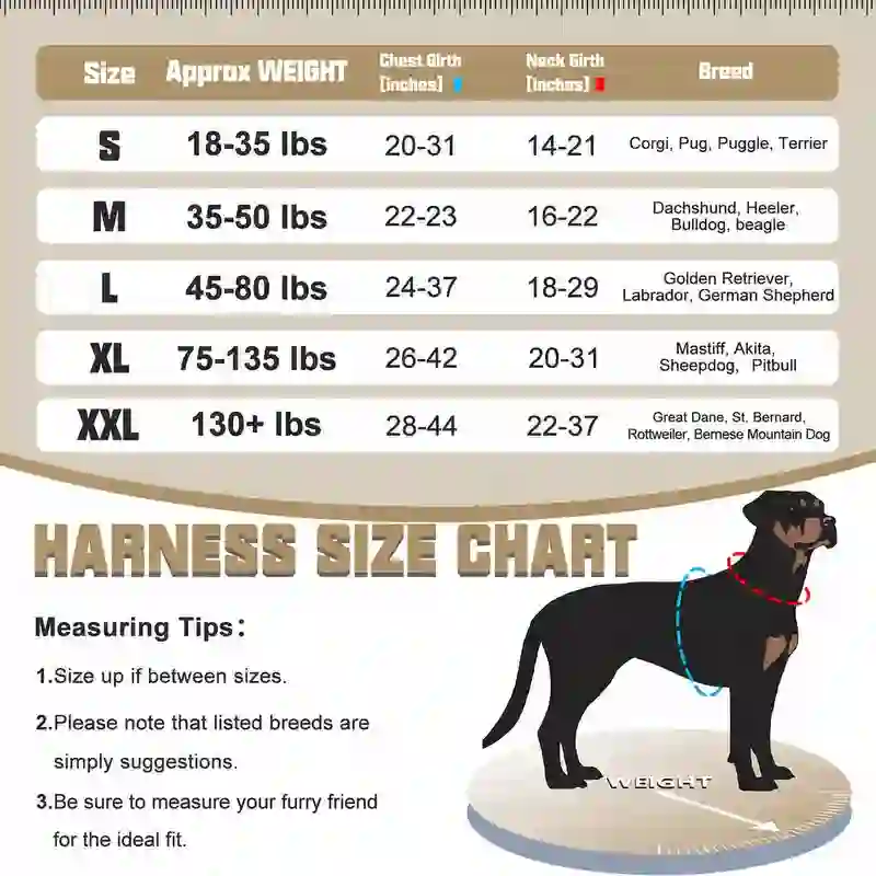 Heeipaw Universal Harness, Walking Harness & Safety Harnesses for Small to Large Dogs, Durable Reflective, Easy to Control - image 6