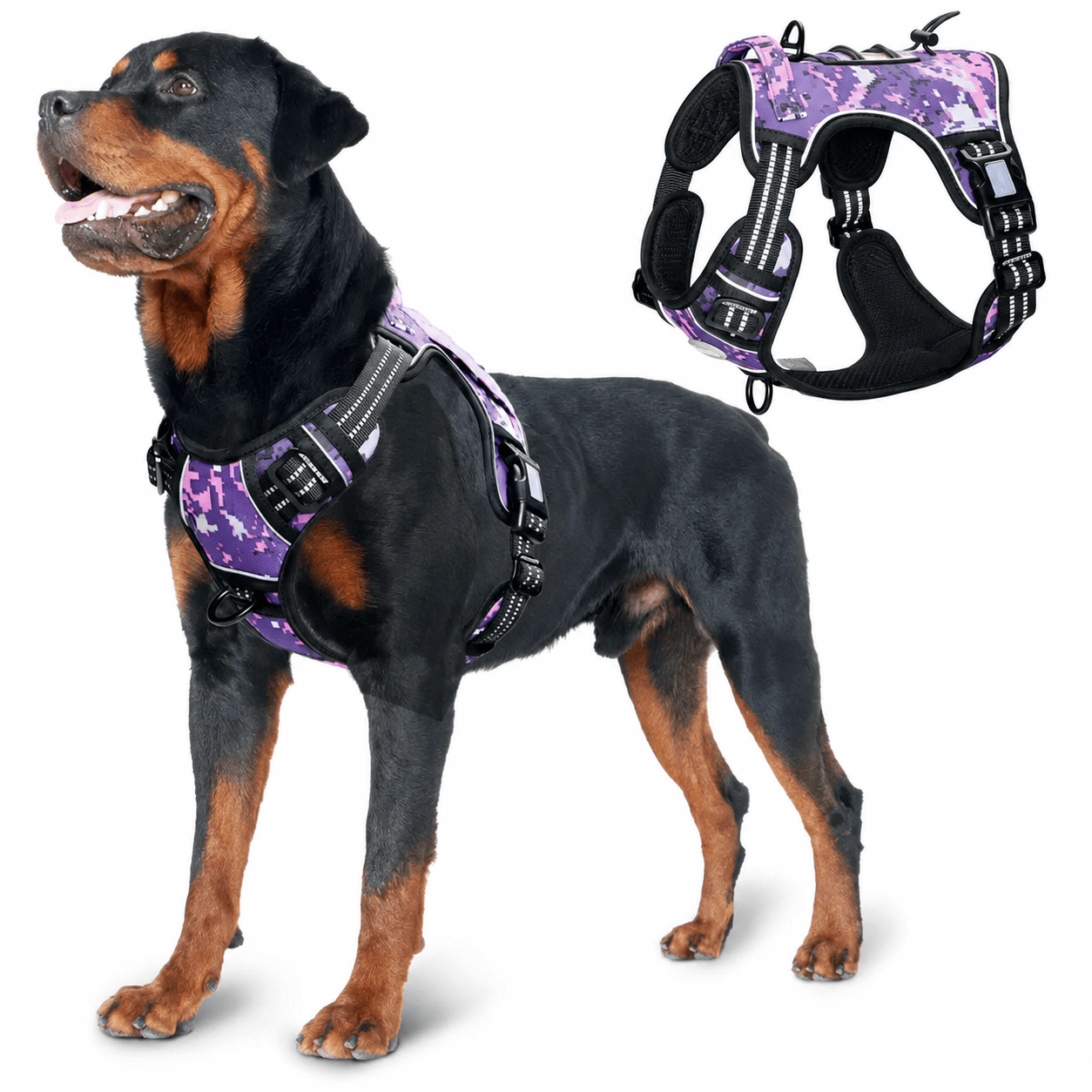 Heeipaw Universal Harness, Walking Harness & Safety Harnesses for Small to Large Dogs, Durable Reflective, Easy to Control - Purple - XL - image 4